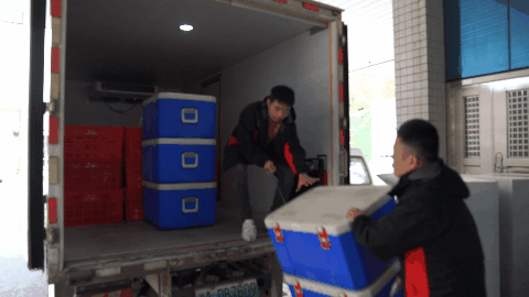 冷链(10).gif
